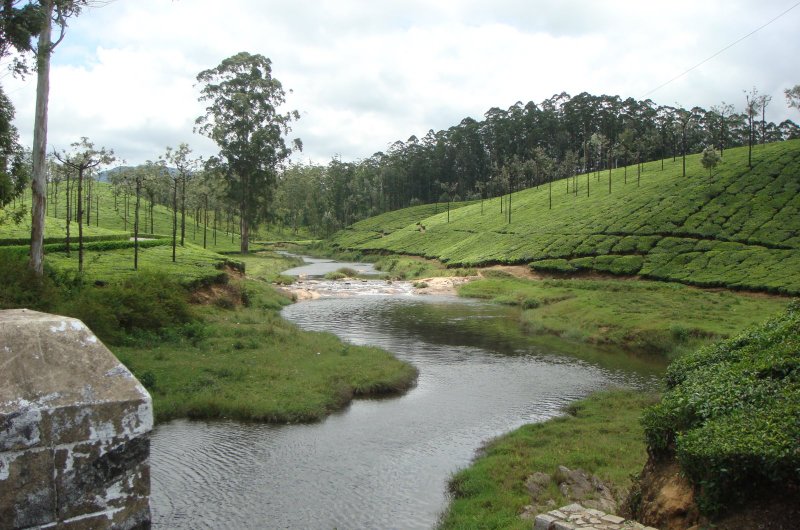 Nirar Dam- Valparai